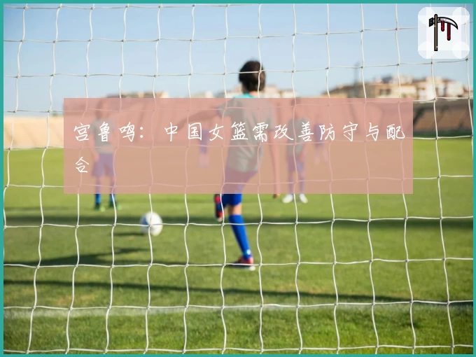 宫鲁鸣：中国女篮需改善防守与配合