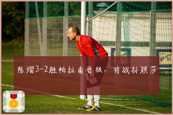 陈熠3-2胜帕拉南晋级,将战孙颖莎