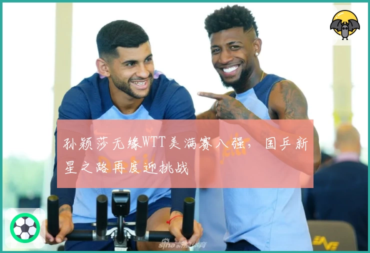 孙颖莎无缘WTT美满赛八强,国乒新星之路再度迎挑战