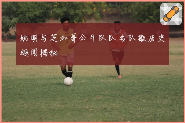 姚明与芝加哥公牛队队名队徽历史趣闻揭秘