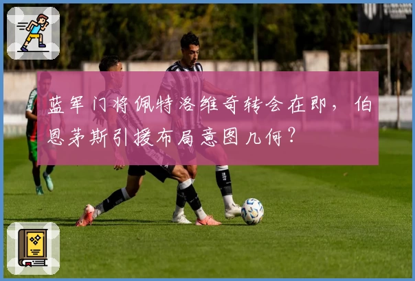 蓝军门将佩特洛维奇转会在即,伯恩茅斯引援布局意图几何?